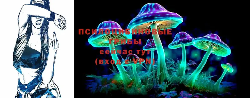 Псилоцибиновые грибы Magic Shrooms  цена   Дивногорск 